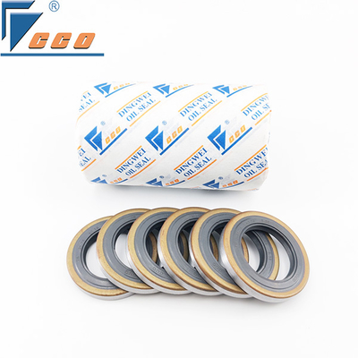 comprar Vedação de óleo de esqueleto de lábio duplo FKM resistente a altas temperaturas até 250°C online manufacture